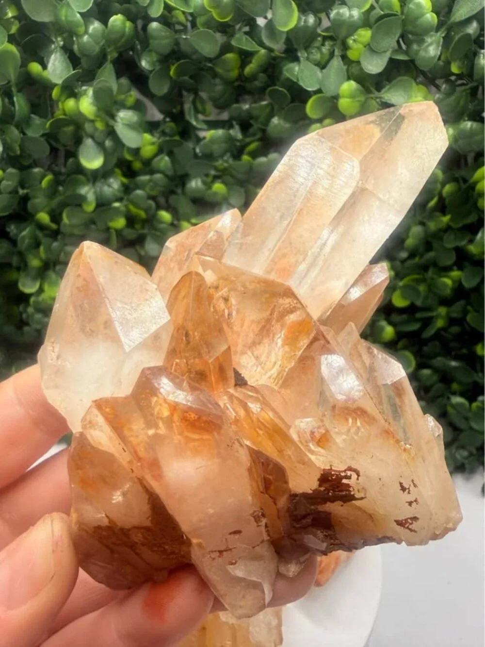 🔥 Golden Healer / Fire Quartz Cluster with Red Hematite Inclusions 🔥
